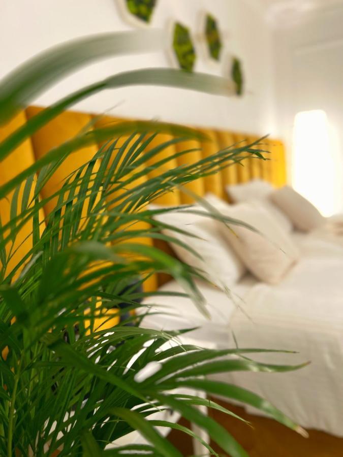 Studio 118 - A Luxury Place,10Min Walk To City Center Timisoara Exterior foto